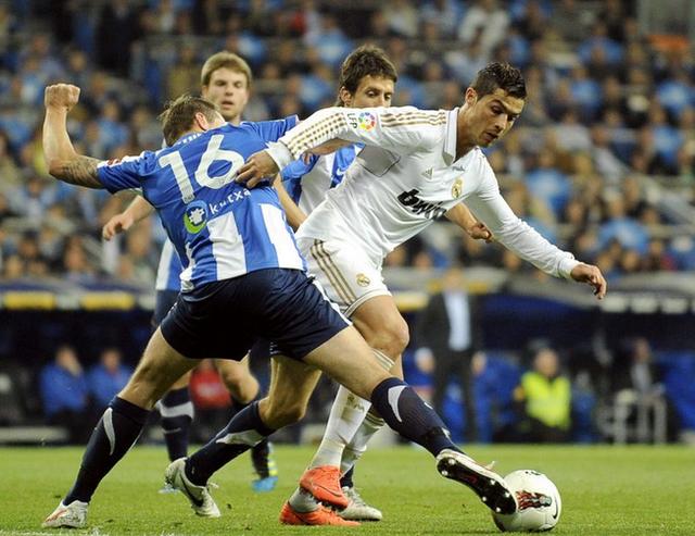 也只可能将 也只可能将