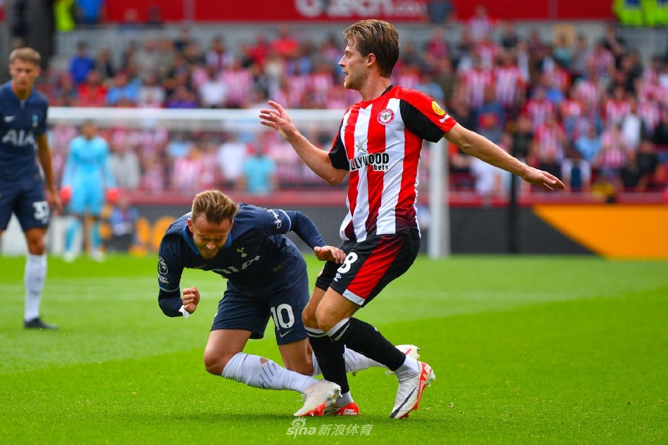 战术单一的 战术单一的