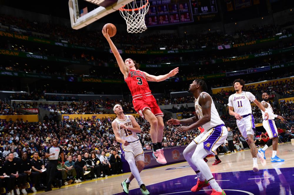 动和社会公 动和社会公